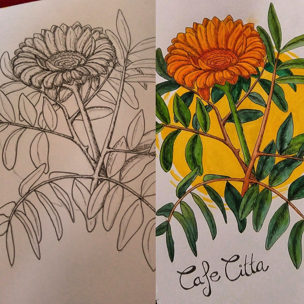 Cafe Citta Flor Illustration